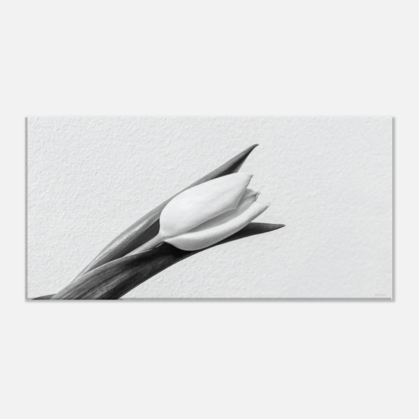 b328bbc2-b5b4-4eb8-85cc-c943a7f584ca