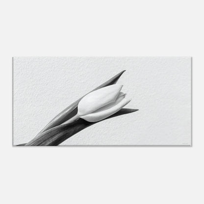 b328bbc2-b5b4-4eb8-85cc-c943a7f584ca