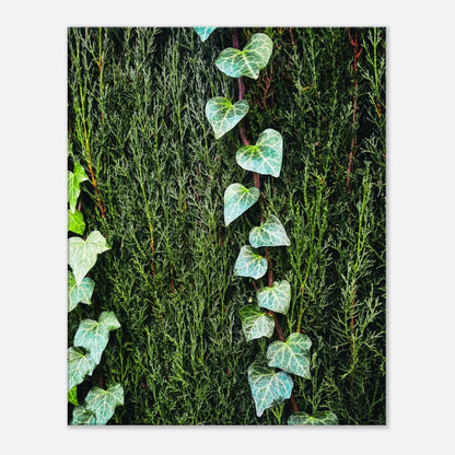 b33c5a25-0fae-4262-8833-0c1a70b69b79