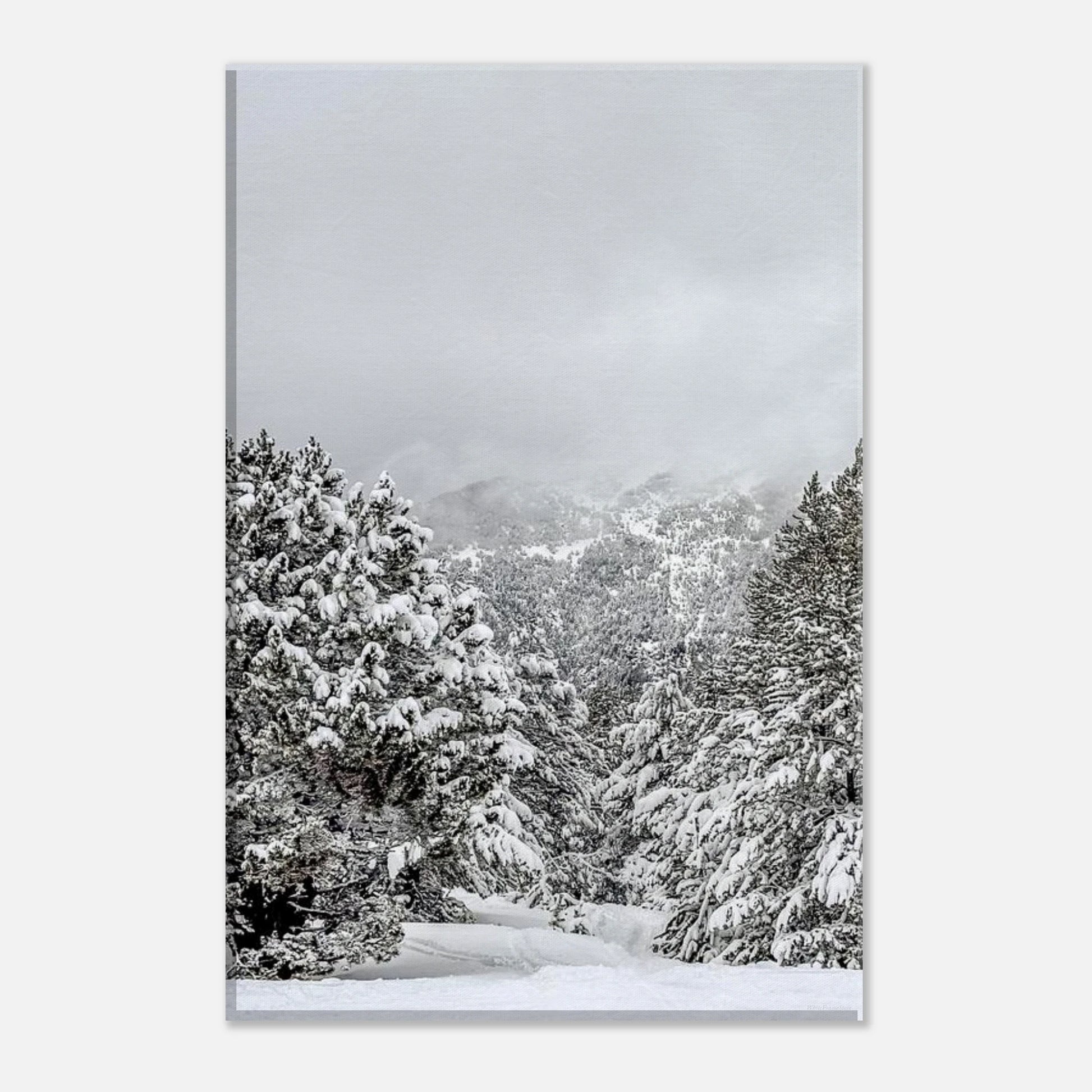 b350e20f-3d78-4ed9-9577-7076300a7f0e