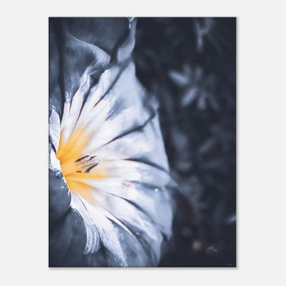 b3510454-70d8-4da0-85d9-80ba9cd4da1a