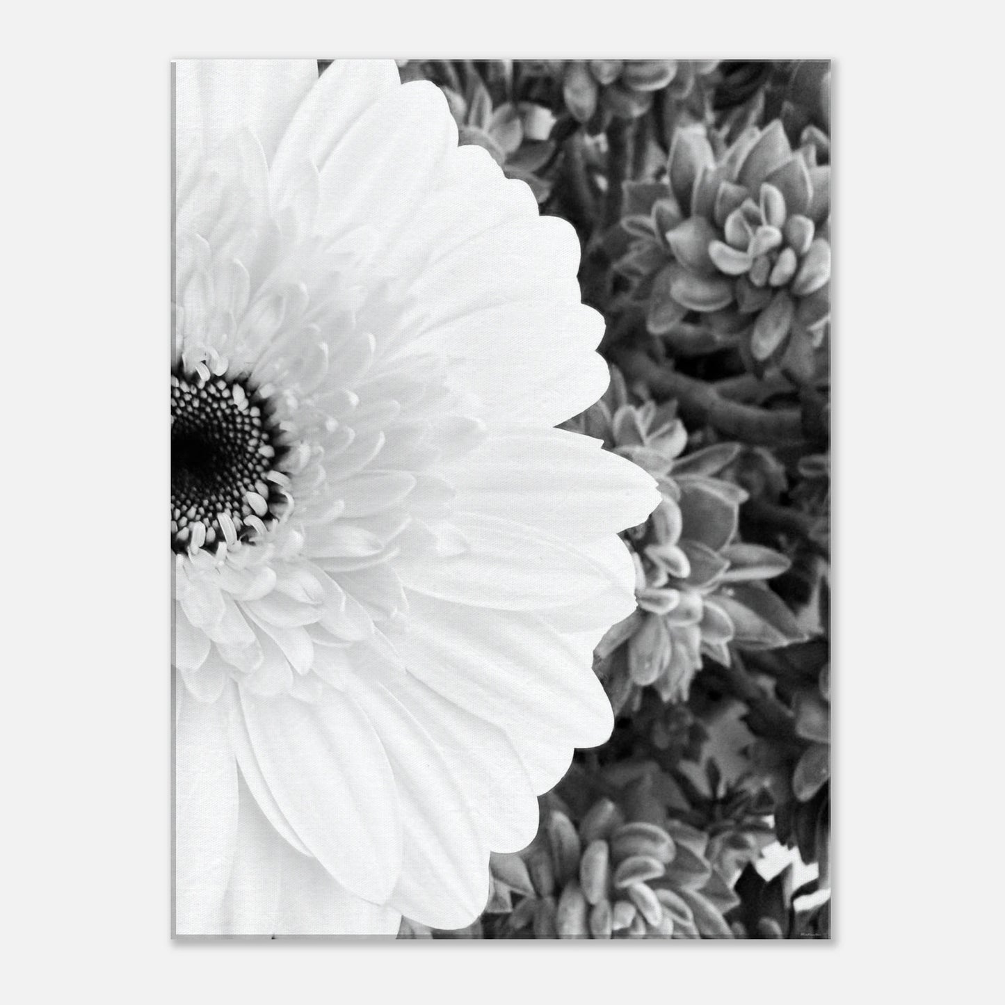 b3561e90-b043-4df8-99bd-d8da0556750b