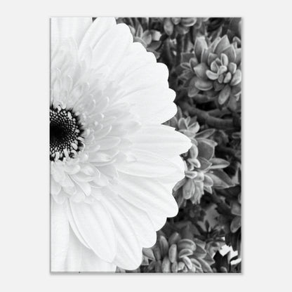 b3561e90-b043-4df8-99bd-d8da0556750b