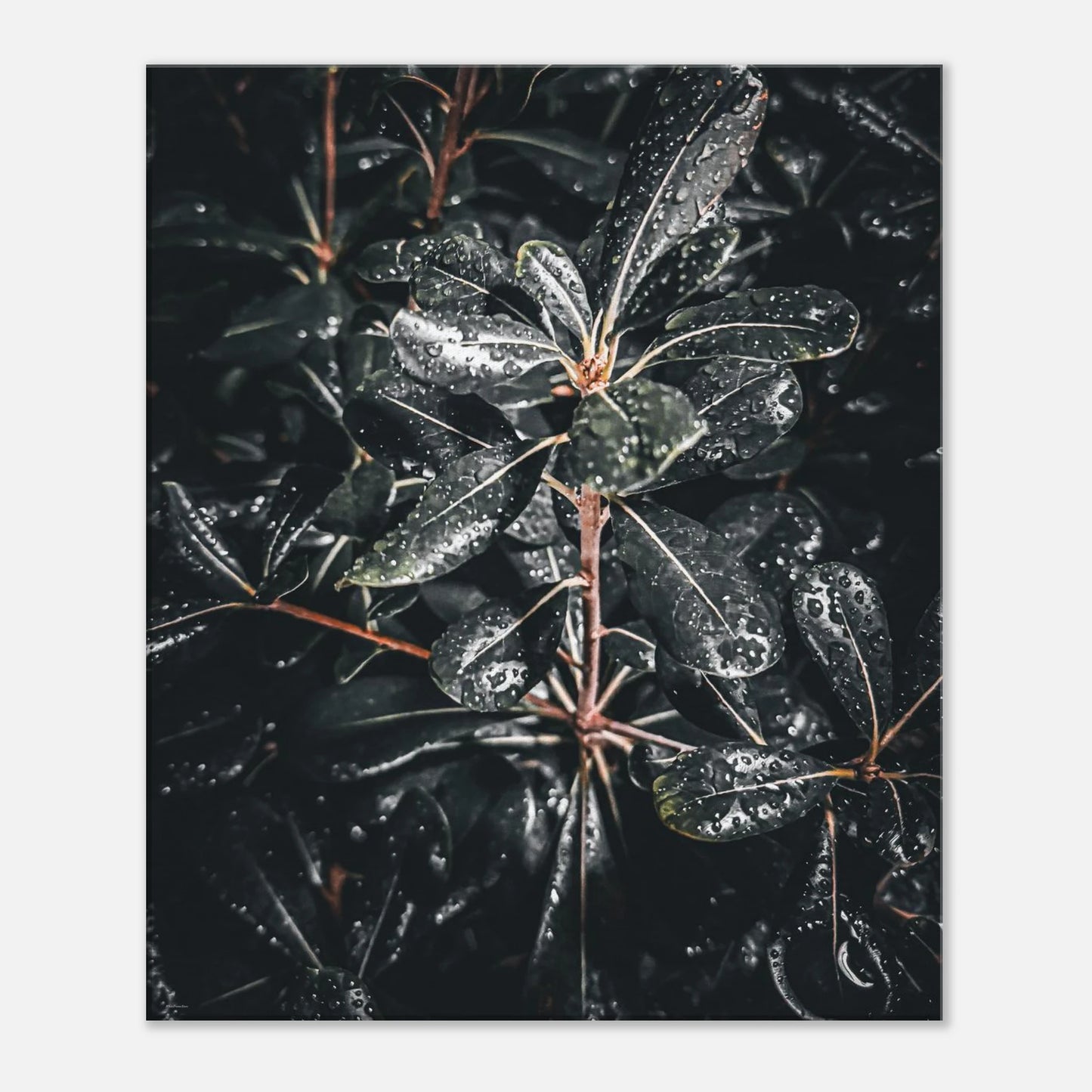 b357104f-1c3d-4907-8e1f-f57f4d6a40bb