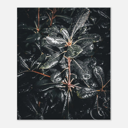 b357104f-1c3d-4907-8e1f-f57f4d6a40bb