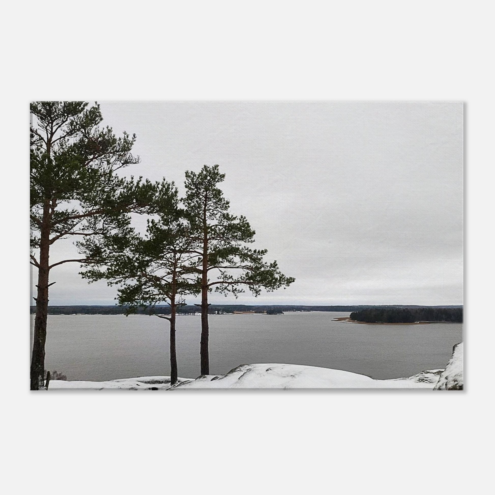 b3634164-d57d-4d52-bc13-b9d6edb6a7db