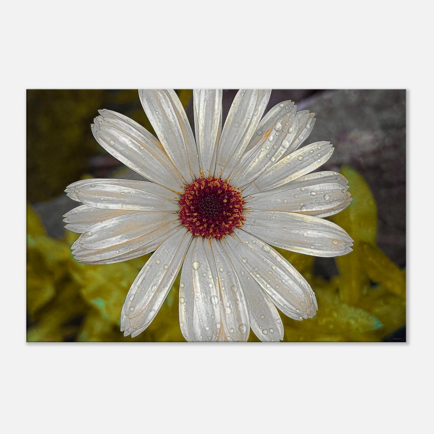 b3696870-43da-47e7-ad14-4ada9ebc4a8b