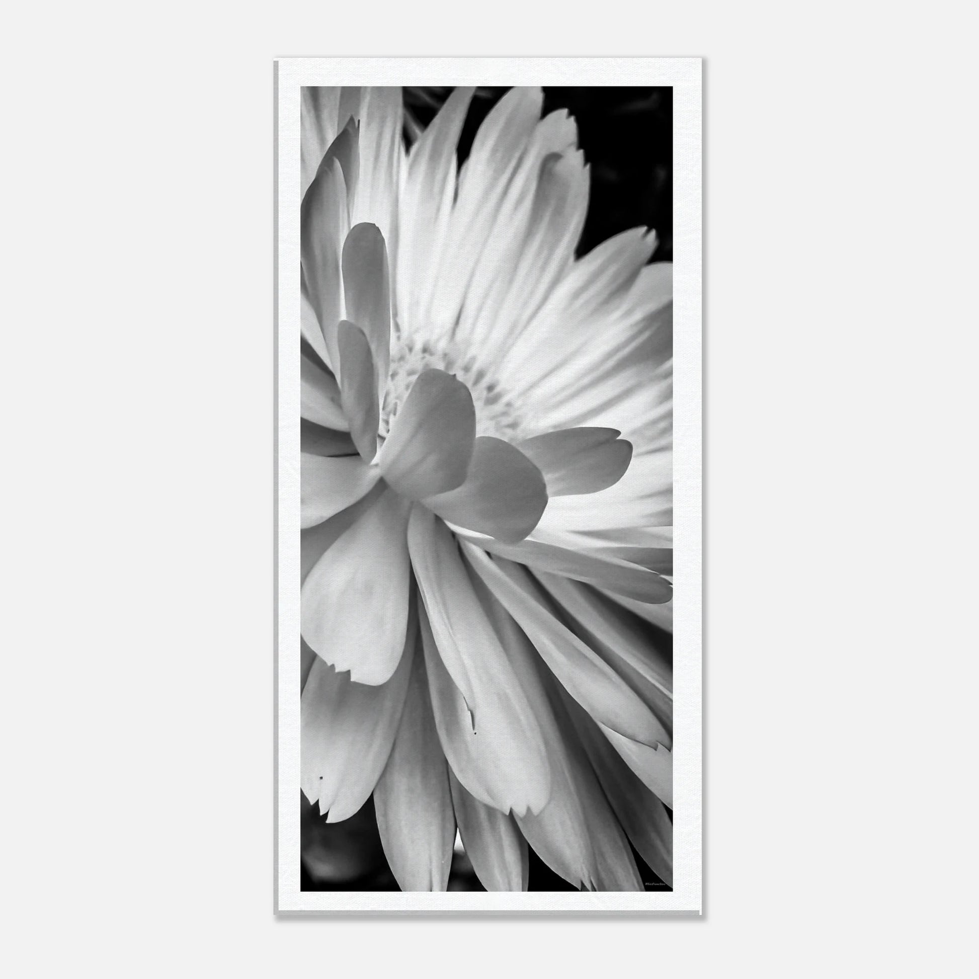 b39beda0-1942-4990-bbec-480201d469e0