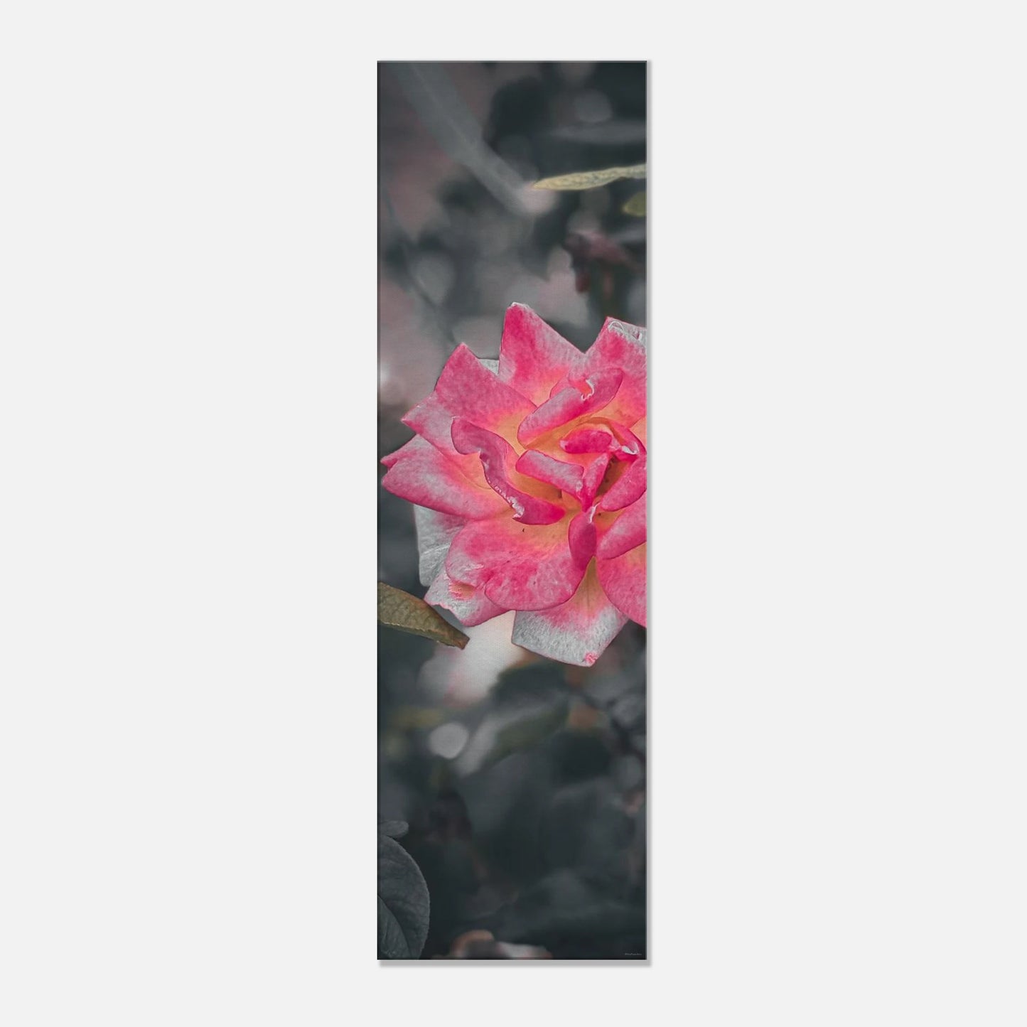 b3b66b05-f924-4a8f-a4b4-27b8a17c7336