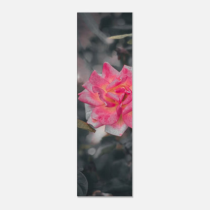 b3b66b05-f924-4a8f-a4b4-27b8a17c7336