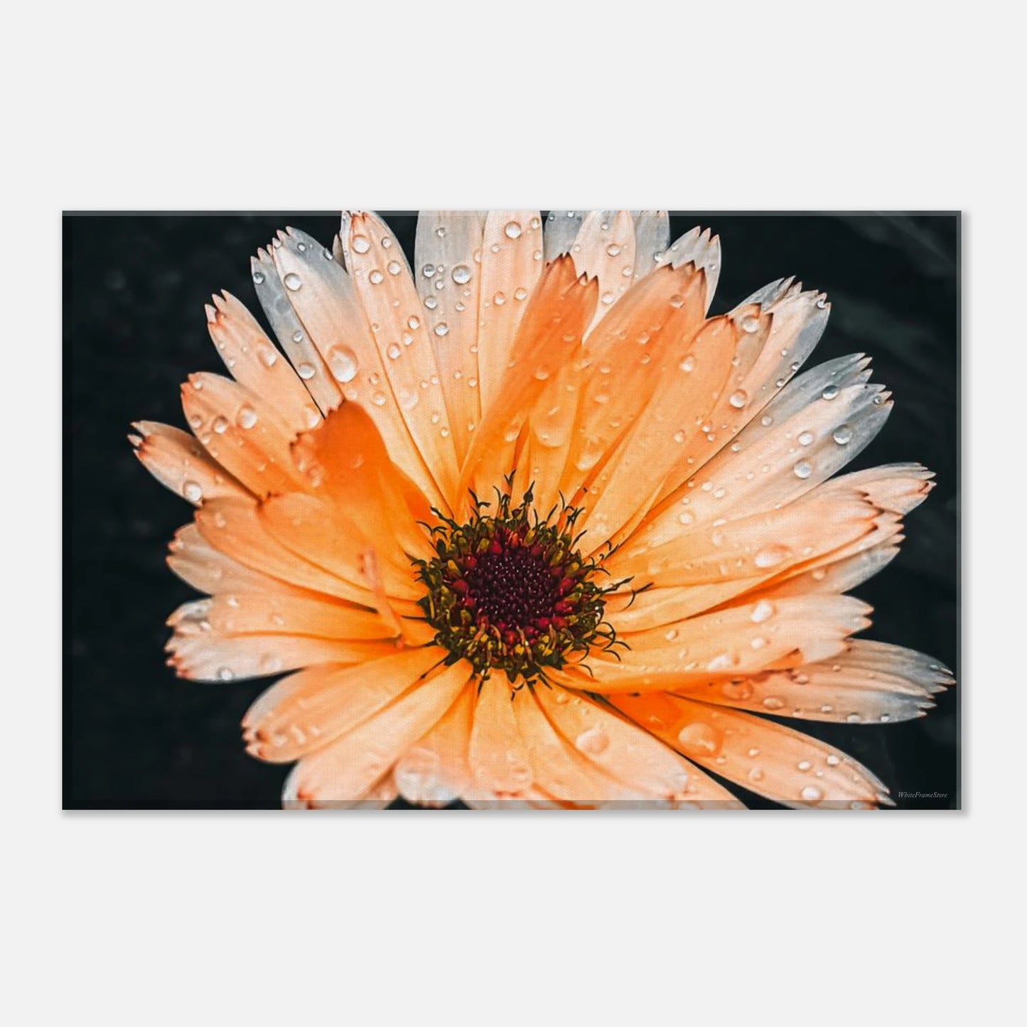 b3d2d1f1-6793-4ffa-b85f-872bd6dae748