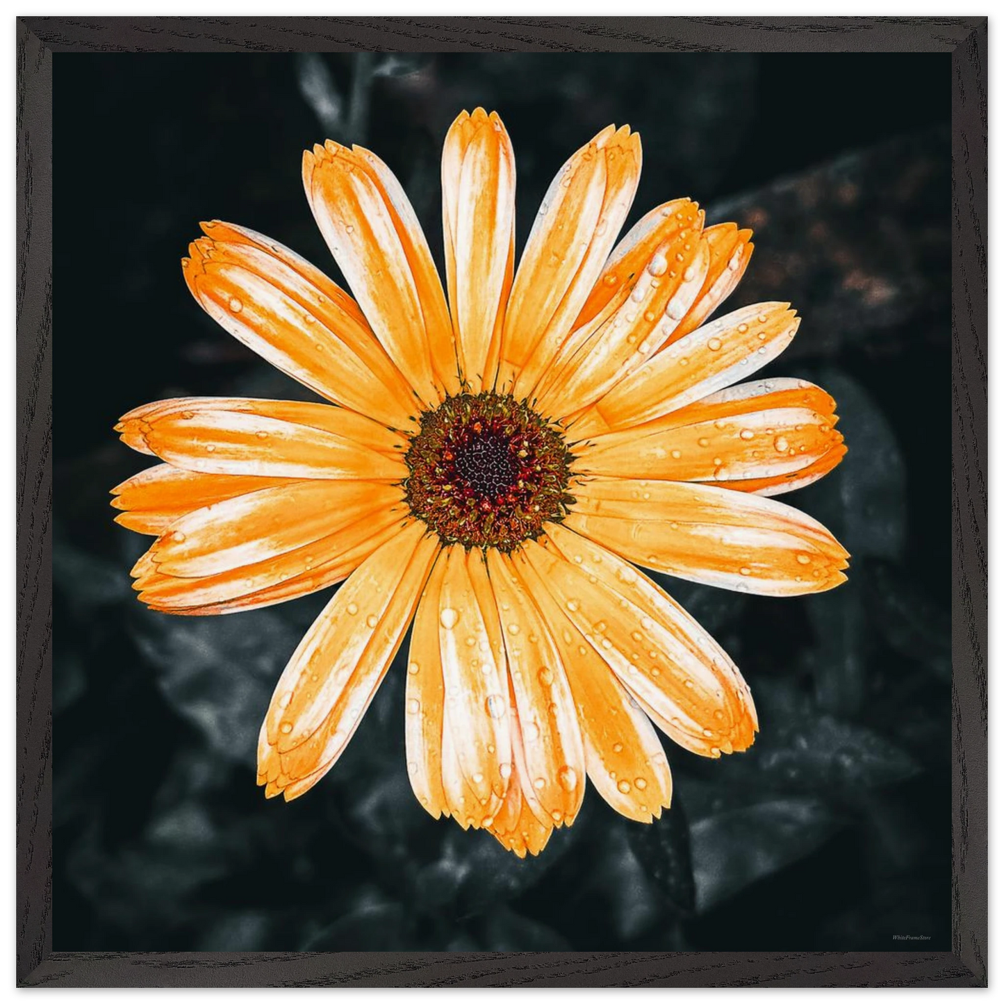 b409624d-1ebd-4806-86c2-93a0cbc9d5b5