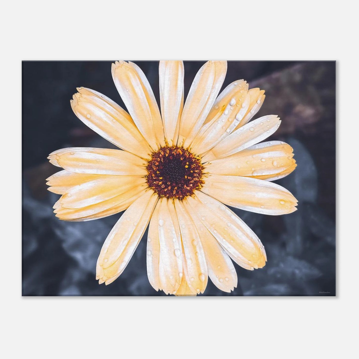 b40b91e7-33bd-4319-9700-1411f36b7b53