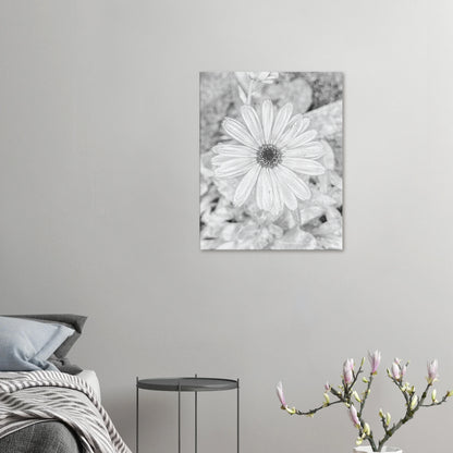 b413de56-d6d6-4487-aec8-be65b2b802cd