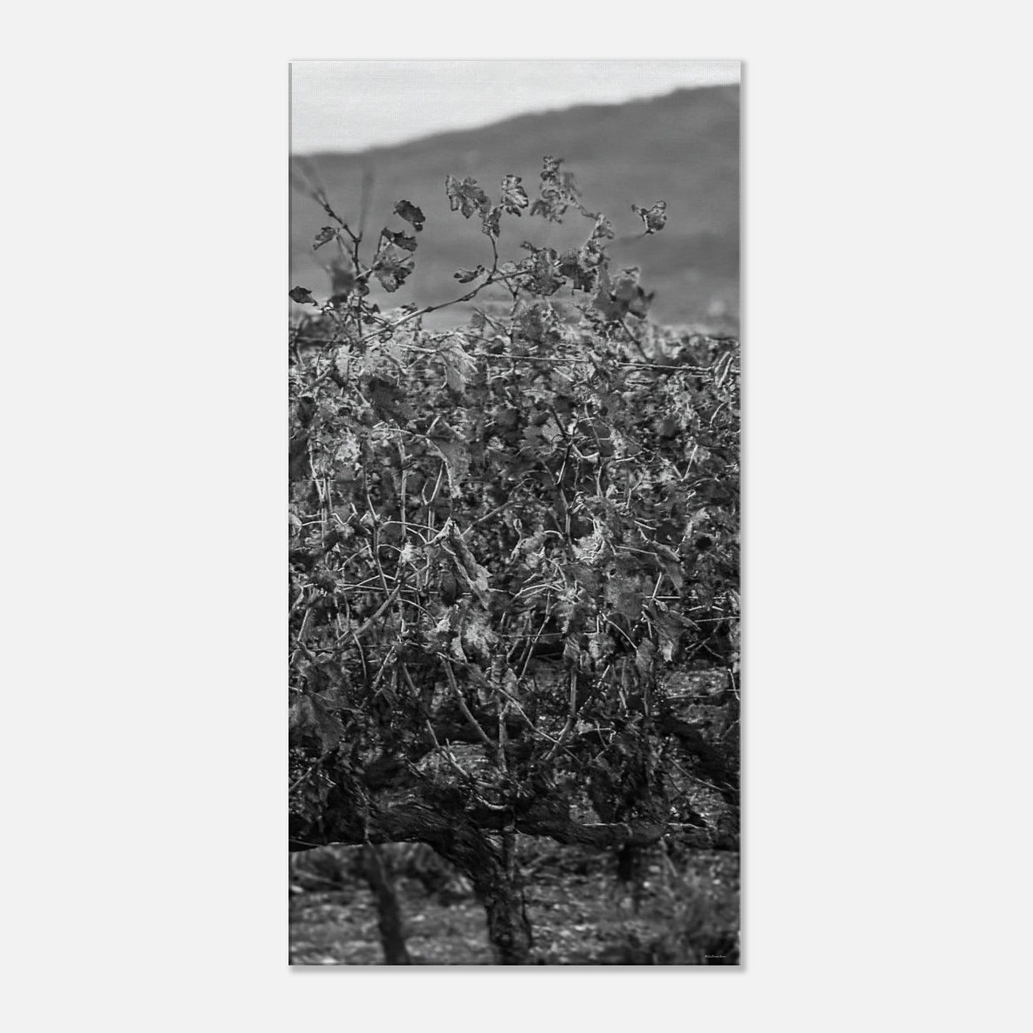 b4198226-a24f-4503-a7eb-b93cd5ab8de3