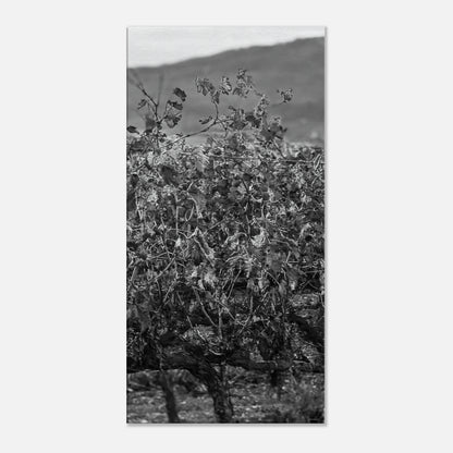 b4198226-a24f-4503-a7eb-b93cd5ab8de3