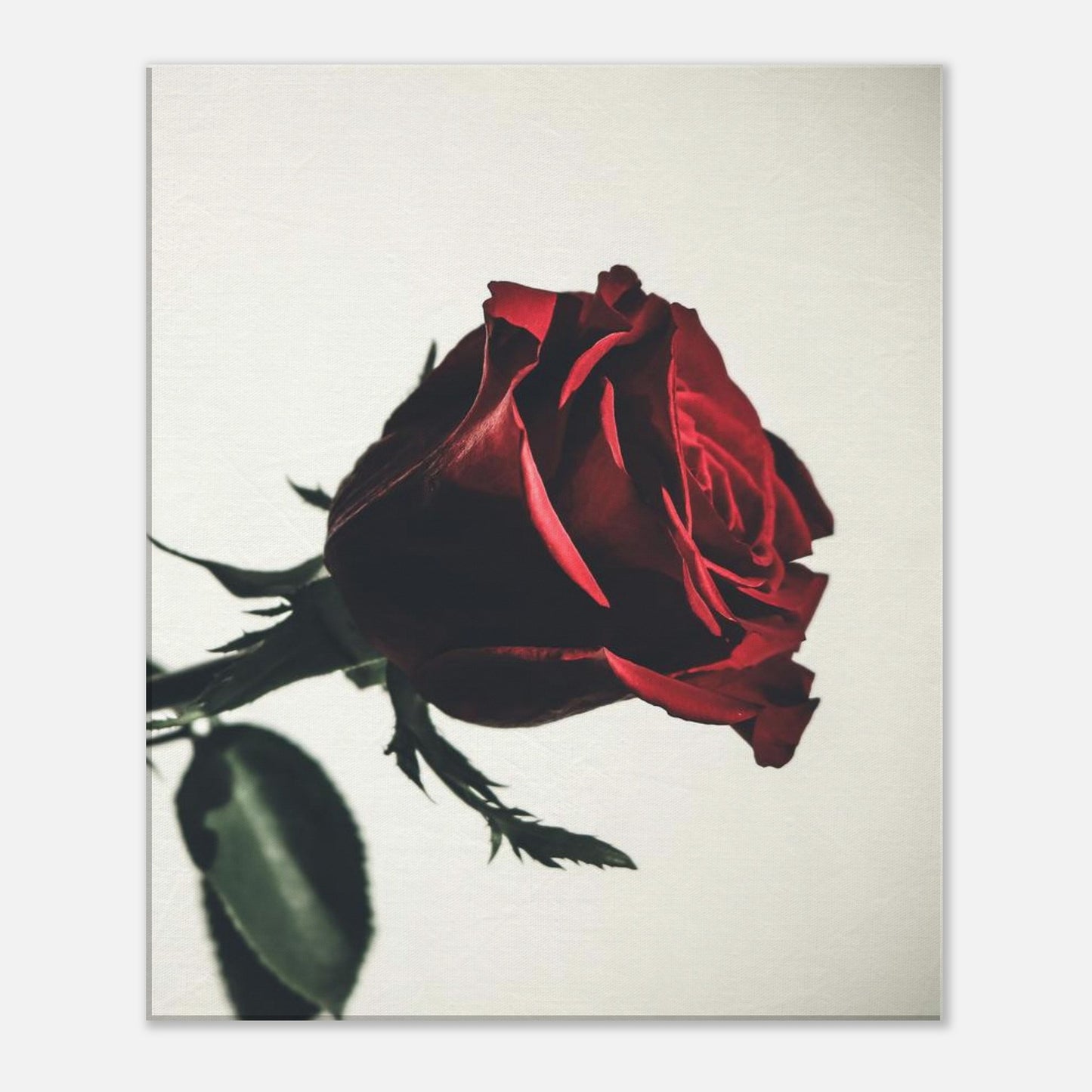 b43738f6-317b-4d56-a24a-a8460695e4af