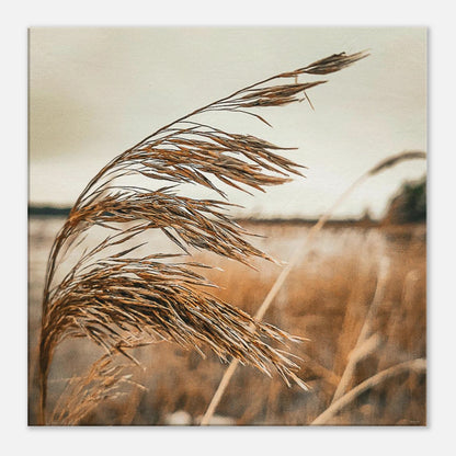 b44e5c7f-3f02-4796-9568-336326daf93f