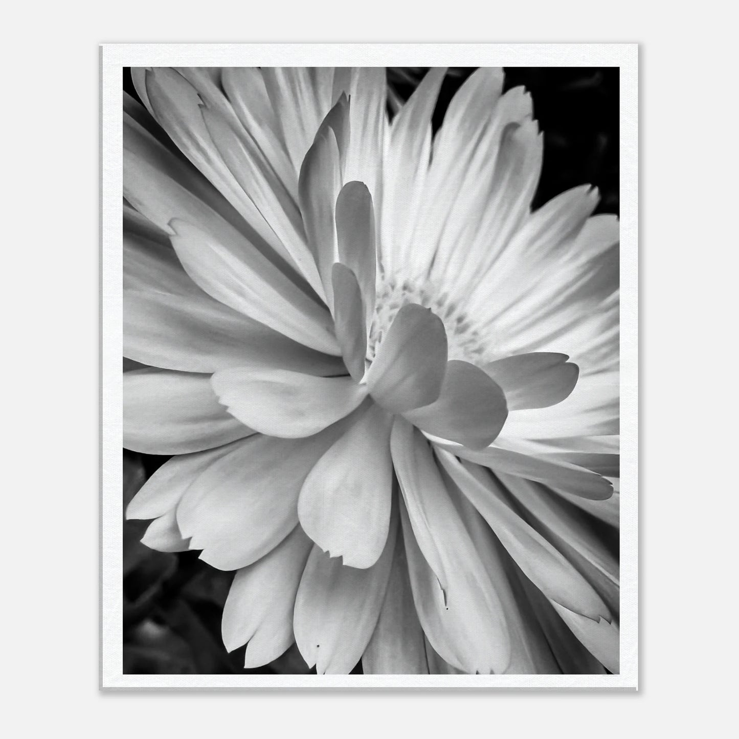 b4541974-2e78-4ef4-a622-3364297d173f