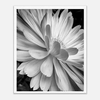 b4541974-2e78-4ef4-a622-3364297d173f