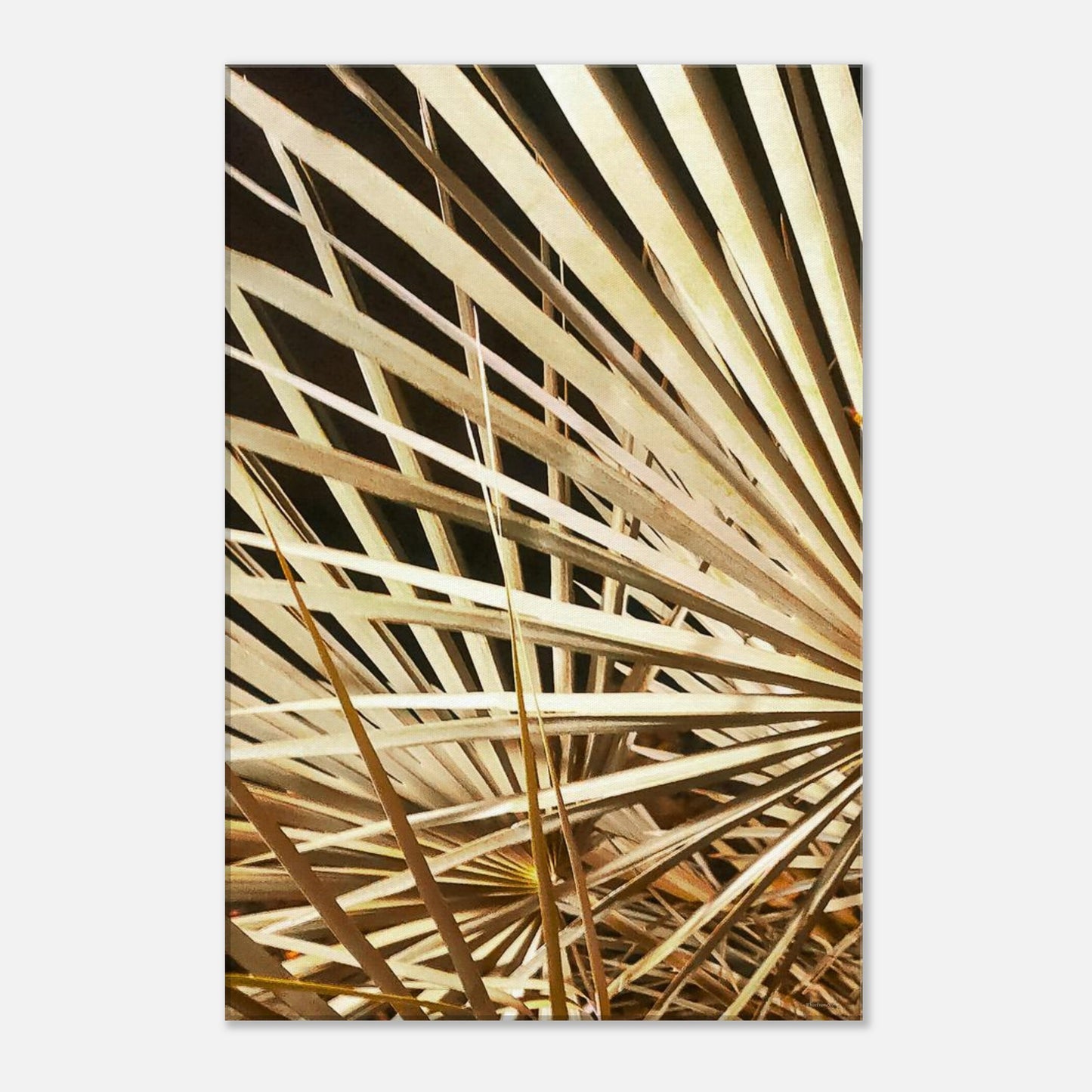 b455e1c7-de59-4052-9b7f-41525c398699