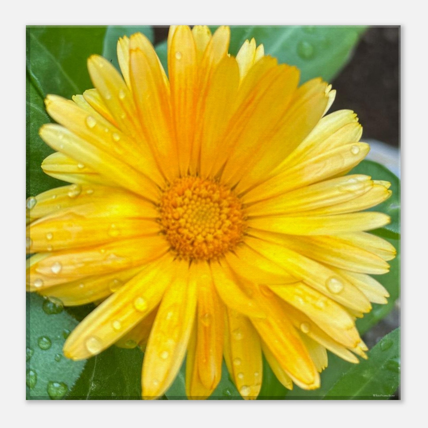 b4749a1a-f658-4a31-8887-122964e6518d