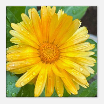 b4749a1a-f658-4a31-8887-122964e6518d