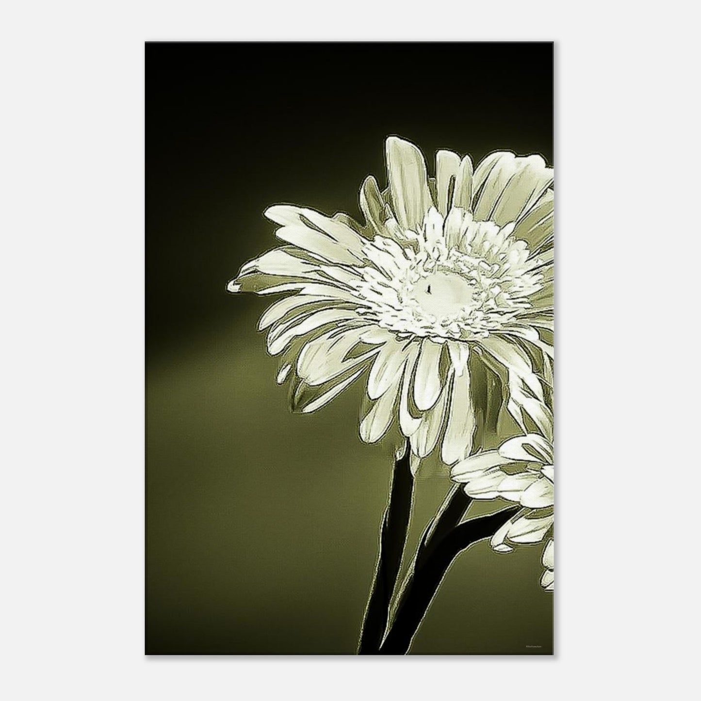 b48814dc-5349-4f65-af37-a35a158a7b7d