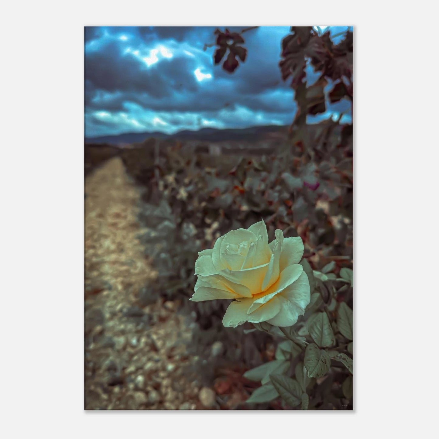 b489465e-e17b-4731-b9d7-025b4287ee77