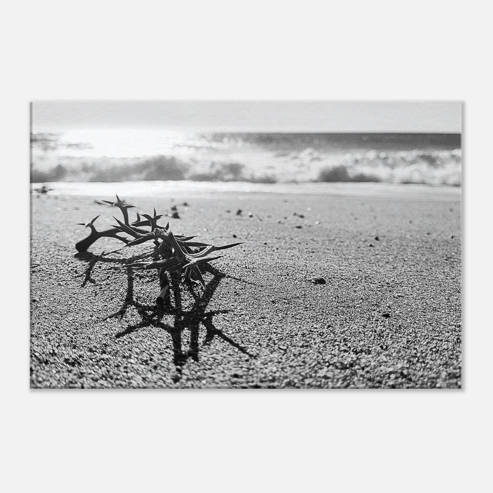 b4a81eaf-17e7-44aa-b6a1-47f0b4394a0d