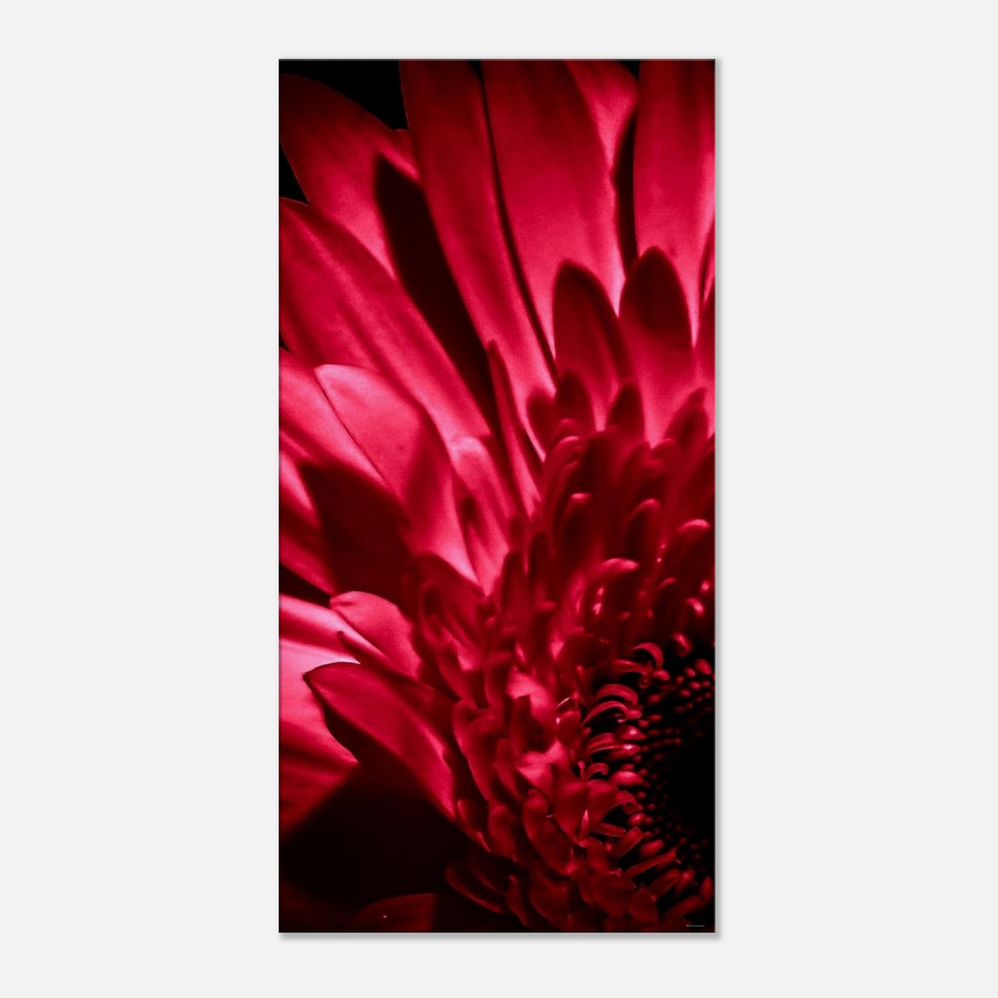 b4b8e625-f132-46d8-be47-48acc5017781