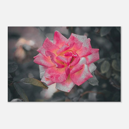 b4e75112-dffb-486e-8dea-65614136a0cb