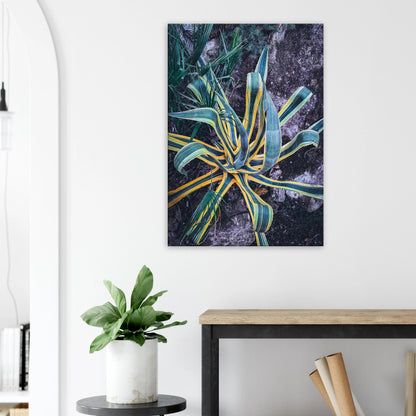 b52aa055-82f6-4f90-8eeb-12e30577771a