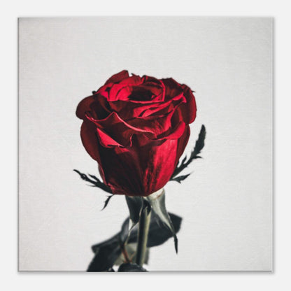 b56d4ba5-ada0-4383-800d-af0a09d380aa