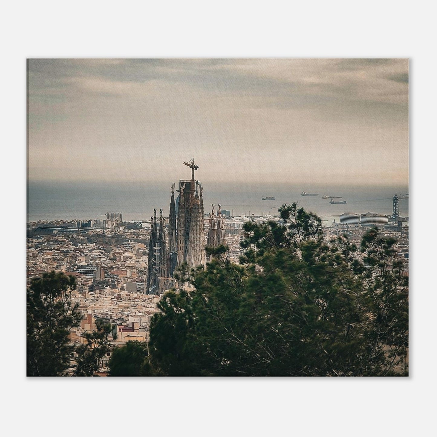 b57dd2d7-b96f-4da9-b88c-1995391f0d87