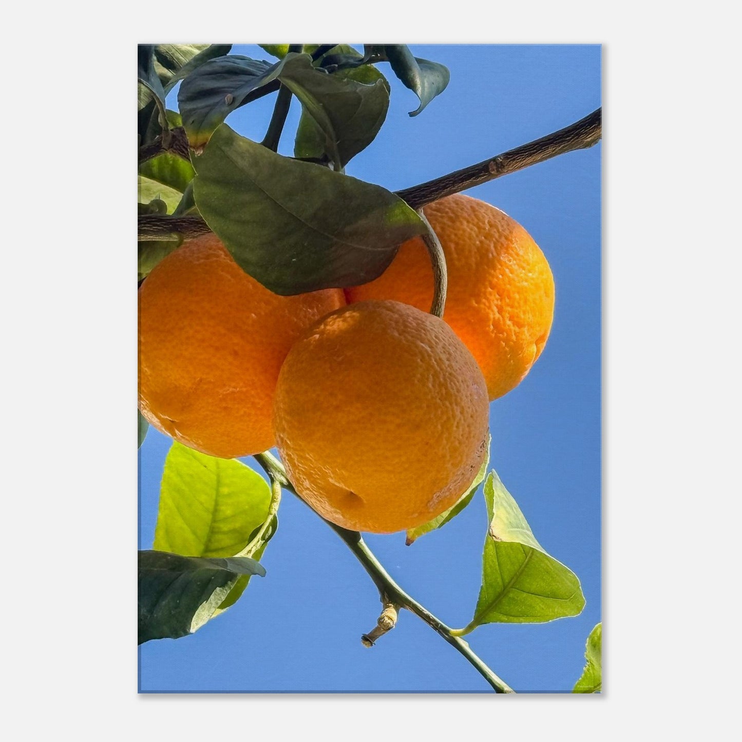 b5e84022-ee62-49ce-835b-5cabf6a96379