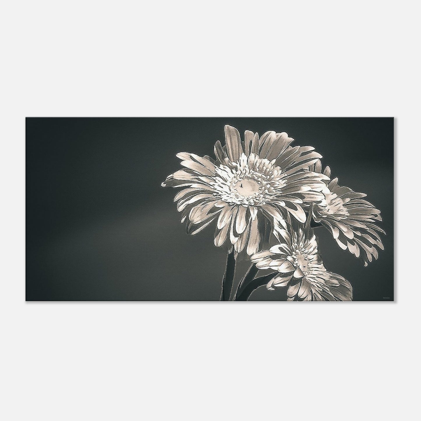 b5eb342e-1f7f-4228-9a0c-2c0635659078