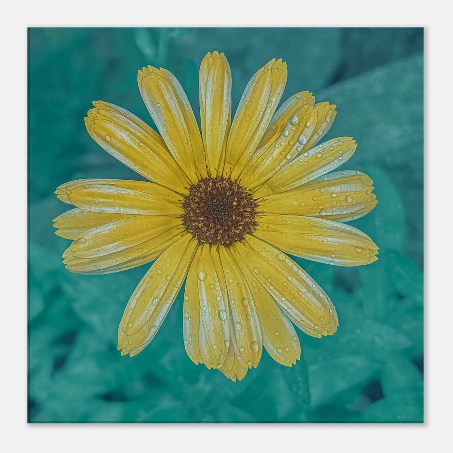 b60b2704-cc35-496e-a2d4-a0ea832f6be2