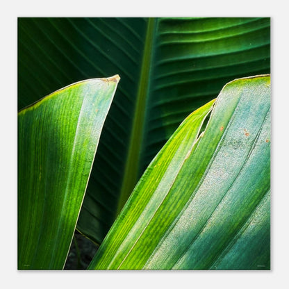 b62ac5d1-ce67-4511-83e5-ebe965985f17