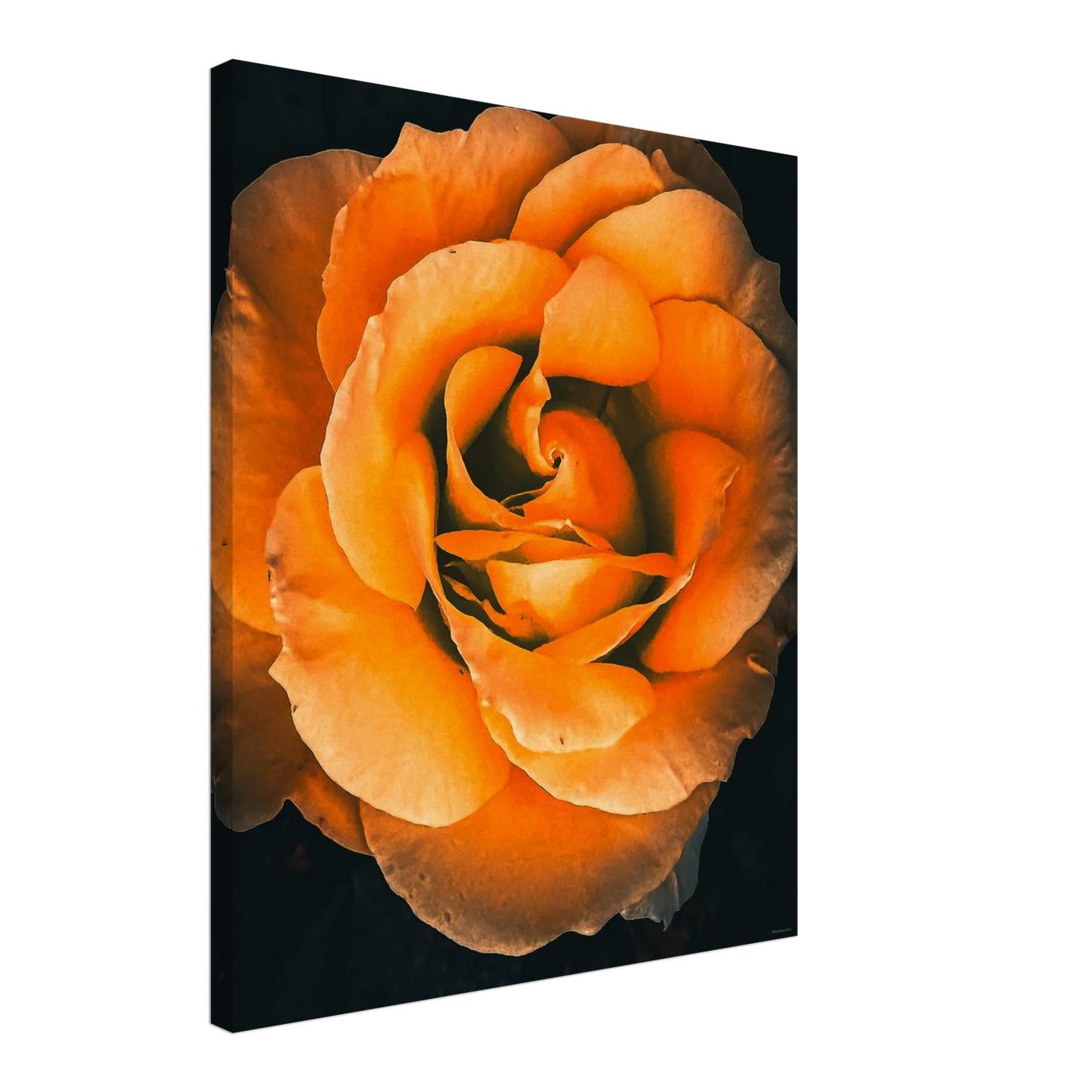 b62c1511-d888-43ae-b18a-ca4da1d16f9c