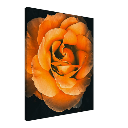 b62c1511-d888-43ae-b18a-ca4da1d16f9c