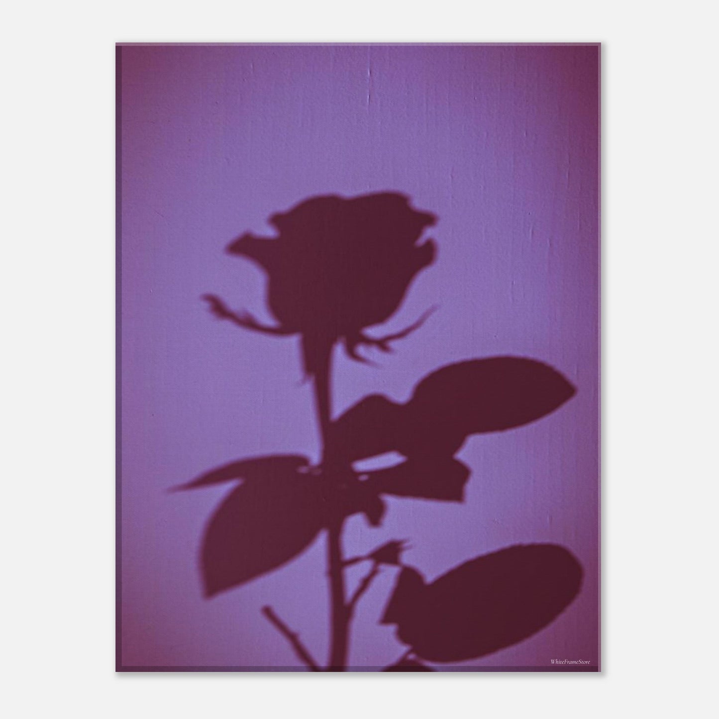 b62ccbb6-ef3a-4918-81f5-c3fcd13645a4