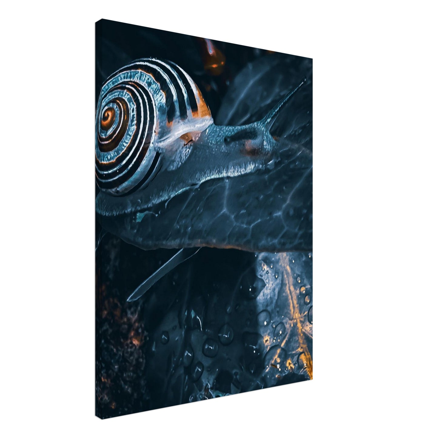 b62d4fb8-125e-4171-b2f0-49cc0c7a5bac