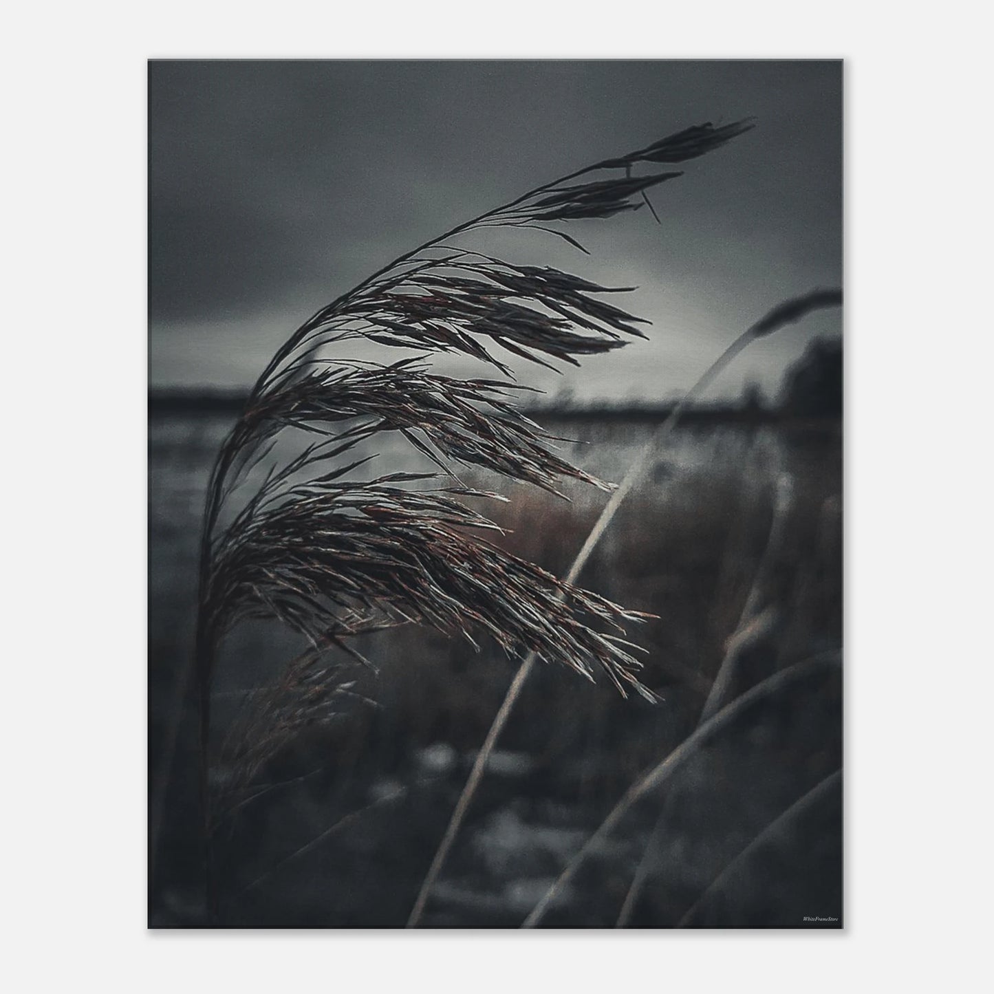 b64a01c2-29da-43d5-a660-3b345b71021f