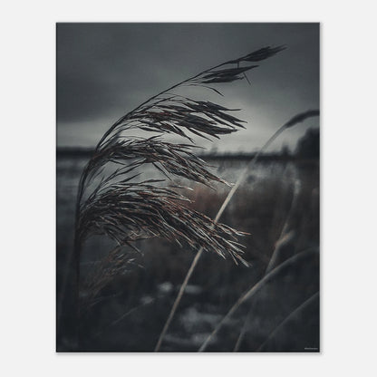 b64a01c2-29da-43d5-a660-3b345b71021f