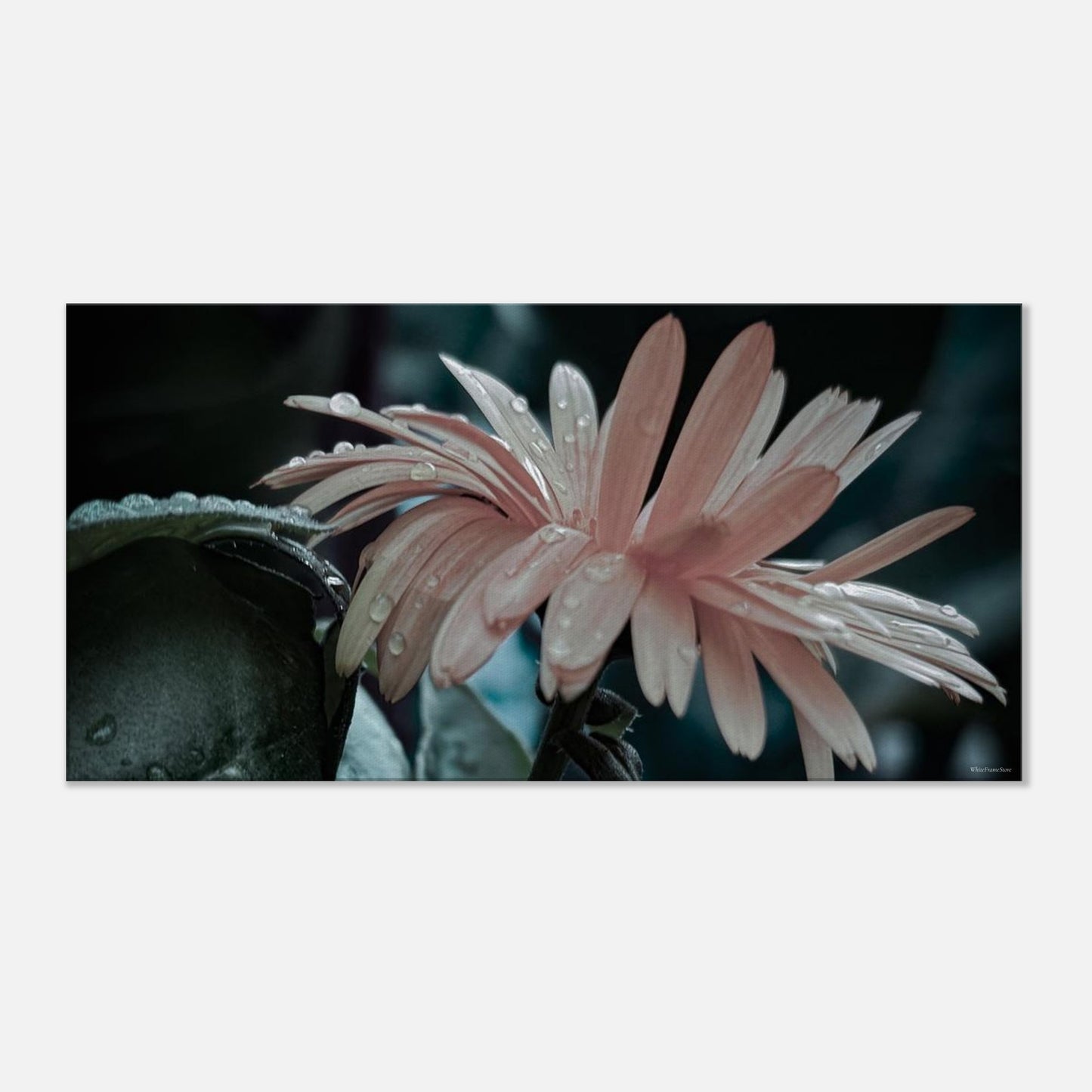 b6690655-e95d-4072-8427-c2dbc30398bb