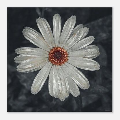 b66bd758-09ef-43f1-98dd-150d719d643a