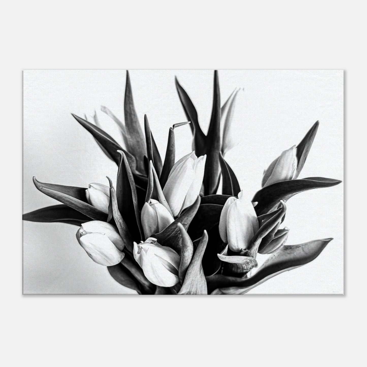 b677a885-1aae-40a1-80b5-859eb8016548