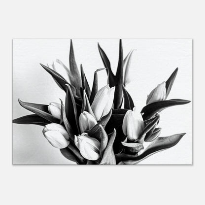 b677a885-1aae-40a1-80b5-859eb8016548