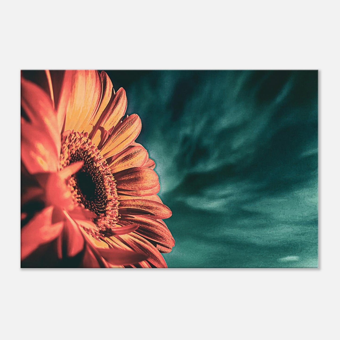 b6879174-cbdd-4809-a15b-427a5a96b86f